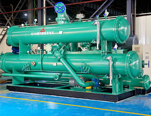 有機(jī)朗肯循環(huán)螺桿膨脹發(fā)電站